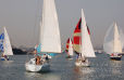 Regatta Avral 2008